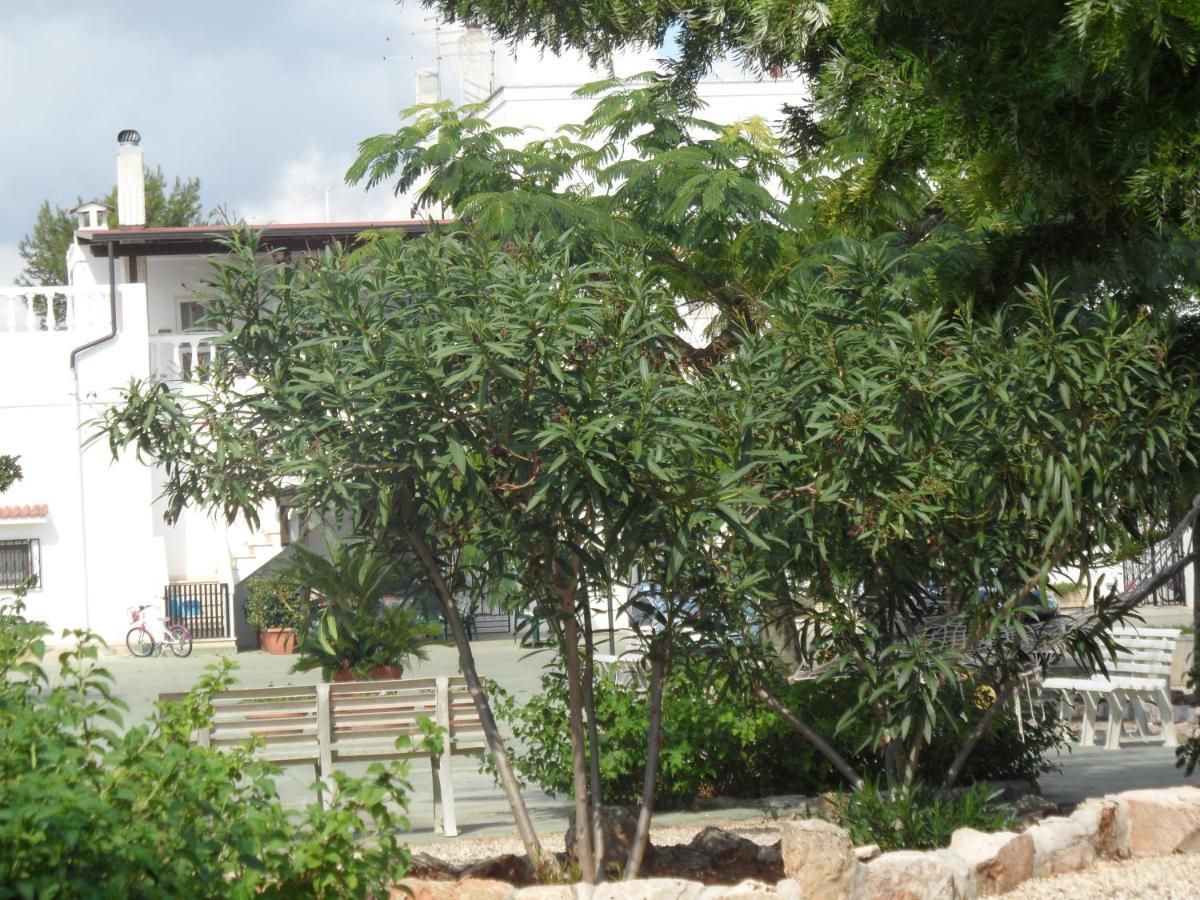 Azienda Agrituristica Masseria Campi San Vito dei Normanni Buitenkant foto