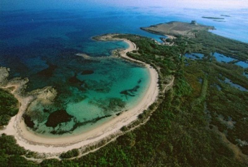 Azienda Agrituristica Masseria Campi San Vito dei Normanni Buitenkant foto
