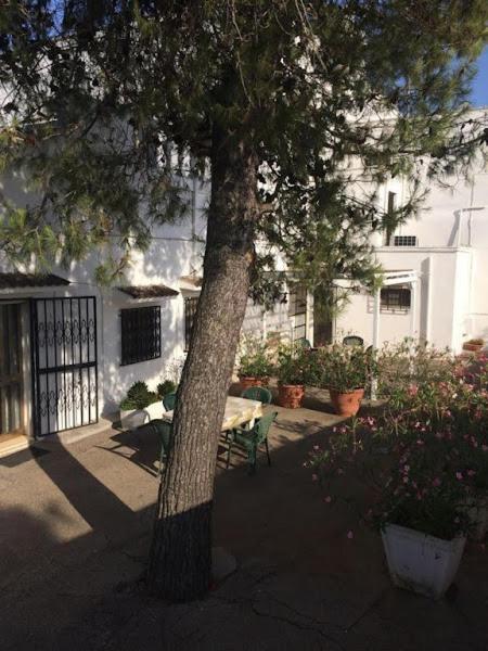 Azienda Agrituristica Masseria Campi San Vito dei Normanni Buitenkant foto